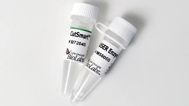 New English Biolabs USER (Uracil-Specific Excision Reagent) Enzyme